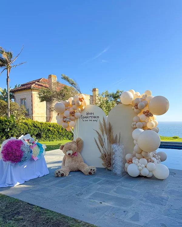 Baby Ignatenko — Is on the Way! detail 3